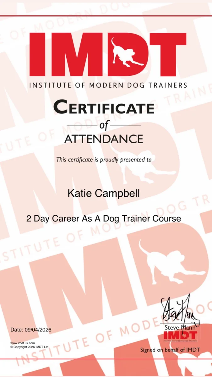 katiesk9s_dogwalking qualification 2